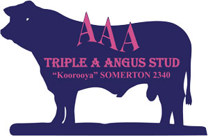 Triple A Angus